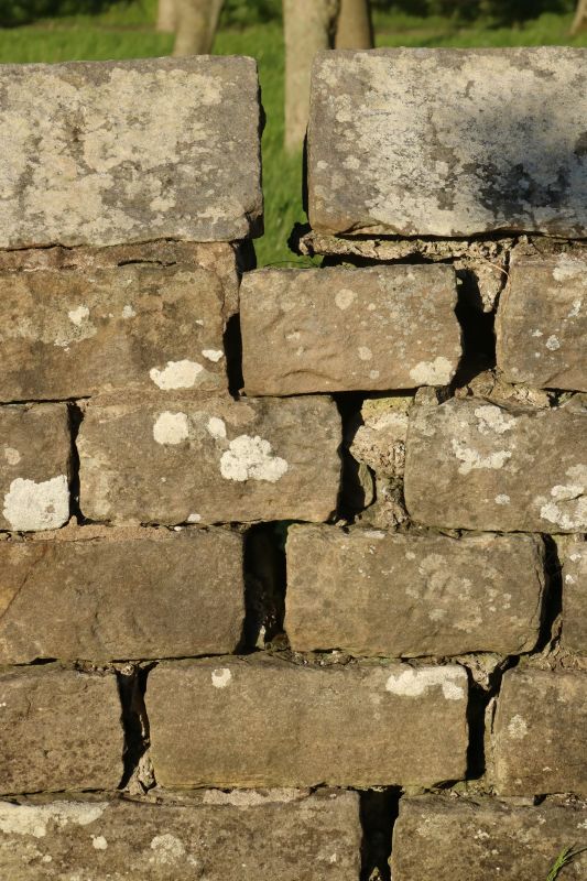 Stone Wall Repair in Deltona, FL